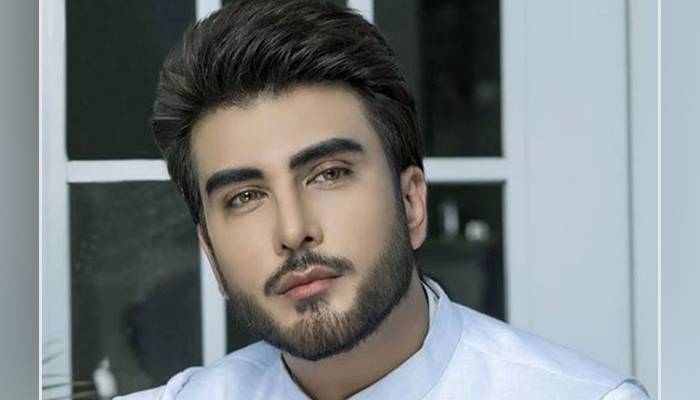 عمران عباس کی وزیراعظم کے بیان پر پیروڈی کی ویڈیو سوشل میڈیا پر وائرل