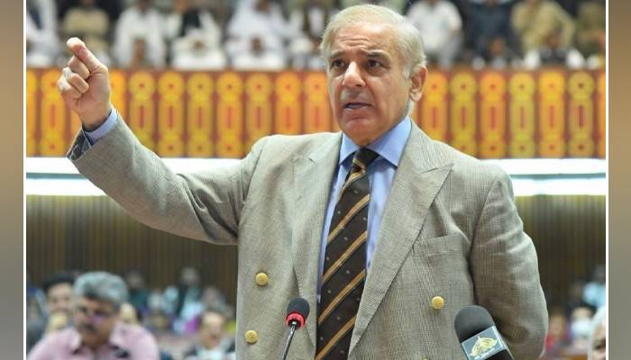 یہ ایوان ماں کی طرح ہے آئین اسی ماں کی گود سے نکلا ہے: وزیر اعظم