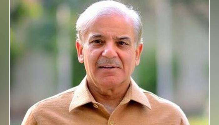 ضروری ہے تمام ریاستی ادارے مقررہ آئینی حدود میں کام کریں: وزیر اعظم