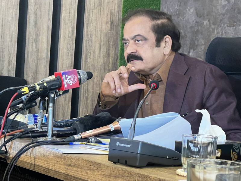 عمران خان ، شیخ رشید اور شاہ محمود کے استعفے منظور کر رہے ہیں، کل سپیکر ہمارا جیتے گا: رانا ثنا 