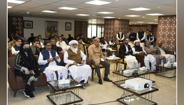 وزیراعظم کا بارش، سیلاب میں جاں بحق افراد کے ورثا کو معاوضہ 24 گھنٹے میں ادا کرنے کا حکم