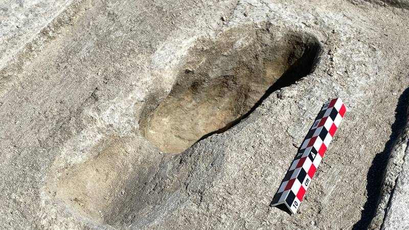 امریکا میں 12 ہزار سال پرانے قدموں کے نشانات دریافت 