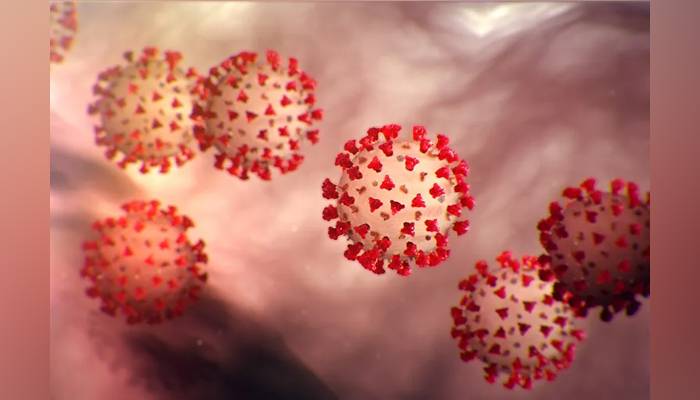 پاکستان میں کورونا وائرس سے مزید 1 مریض جان کی بازی ہار گیا