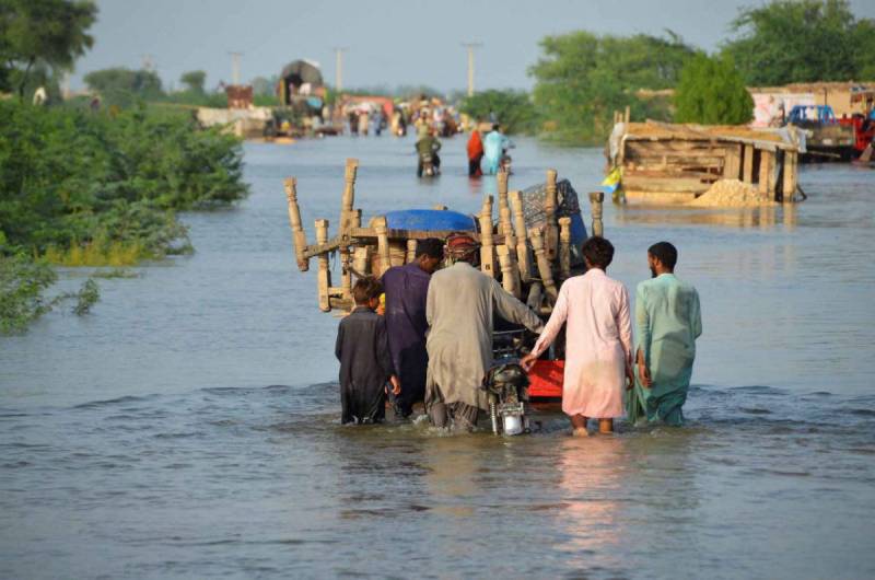 سندھ میں سیلاب سے 638 افراد لقمہ اجل بن گئے 
