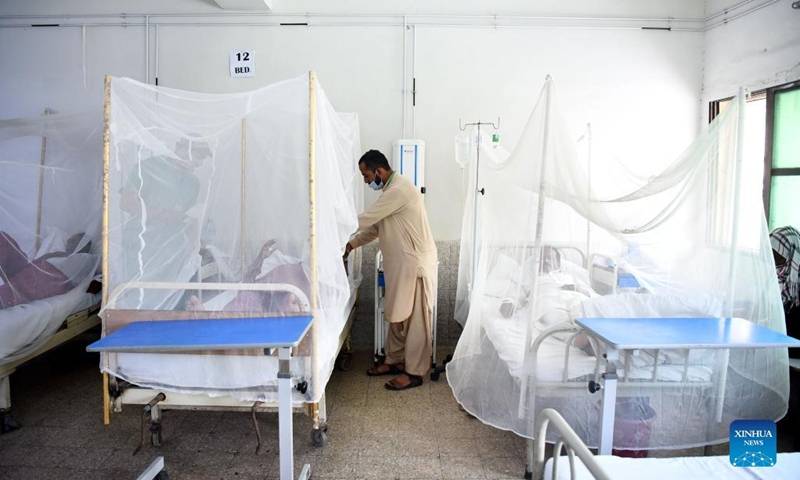 ملک بھر میں ڈینگی میں اضافہ ، سندھ میں 10 ہزار 495 کیسز رپورٹ ہوئے 