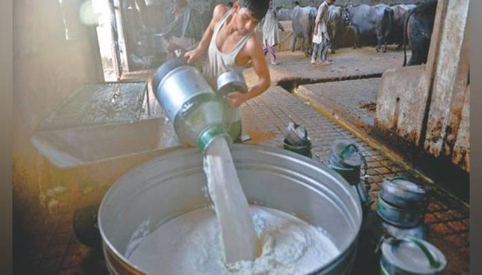  دودھ کی قیمت میں 50 روپے فی لیٹر اضافہ کر دیا گیا 