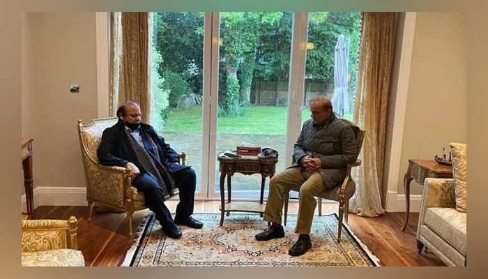 شہباز شریف نجی دورے پر مصر سے لندن روانہ، نواز شریف سے ملاقات میں اہم فیصلے متوقع