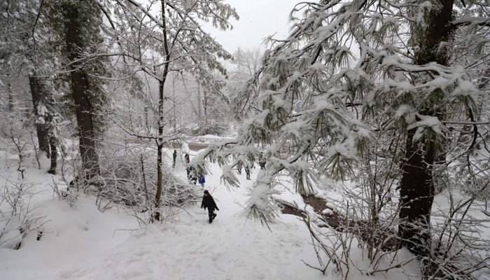 ملک کے بالائی علاقوں میں  برف باری کے بعد سردی کی شدت میں اضافہ 