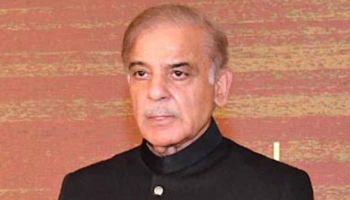 وزیر اعظم بجلی  کے طویل بریک ڈاؤن پر برہم