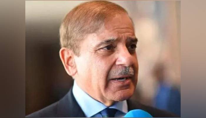 عمران نیازی کی باتیں قوم کو مسلسل مایوس کر رہی ہیں: وزیراعظم