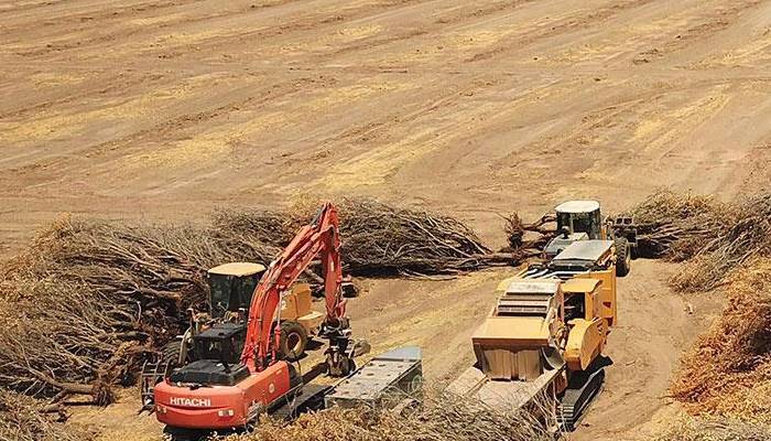  ملک کے بیشتر اضلاع میں آج موسم خشک رہے گا ، محمکہ موسمیات 