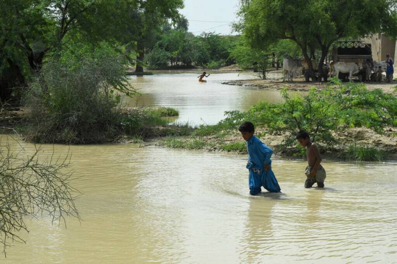  دریائے ستلج میں پانی کی سطح میں مسلسل اضافہ ،   فصلیں تباہ ، دیہات زیر آب آ گئے
