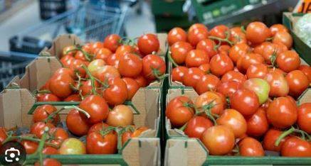 ٹماٹروں کی فروخت،بھارتی کاشتکار کروڑ پتی بن گیا