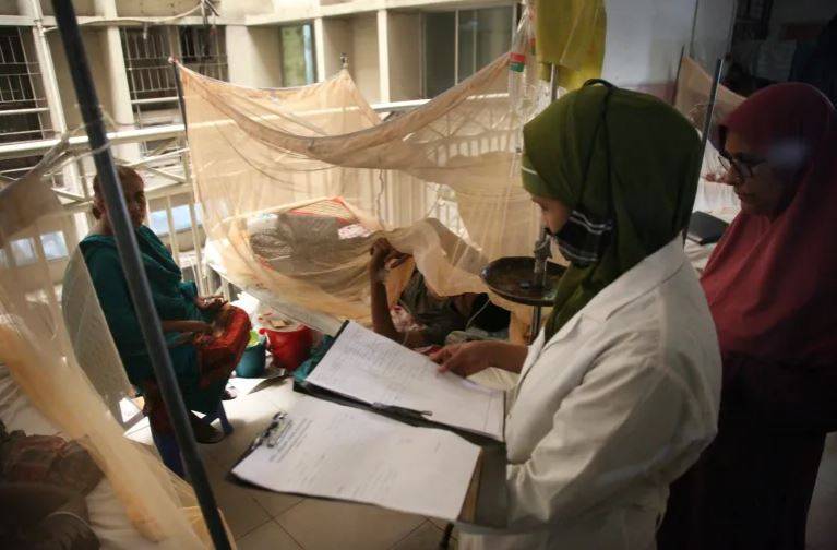  بنگلہ دیش، ڈینگی وبا کی صورت  پھیل گیا، 176فراد ہلاک 