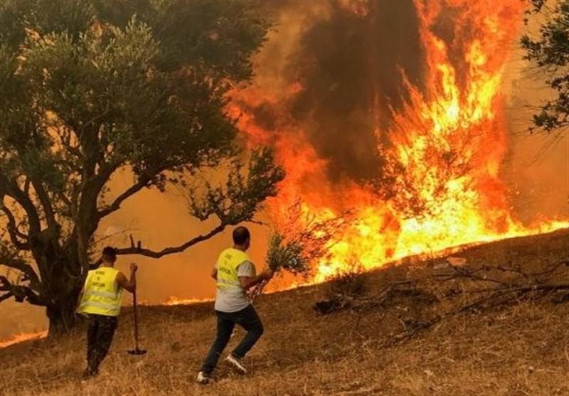الجزائرکے جنگلات میں آتشزدگی، سینکڑوں افراد کامحفوظ مقام کی طرف انخلا ،متعدد افراد ہلاک 