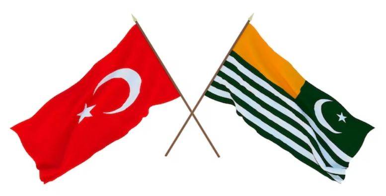 ترک حکومت کا عالمی سطح پر کشمیریوں کی بھرپور حمایت کے عزم کا اظہار 