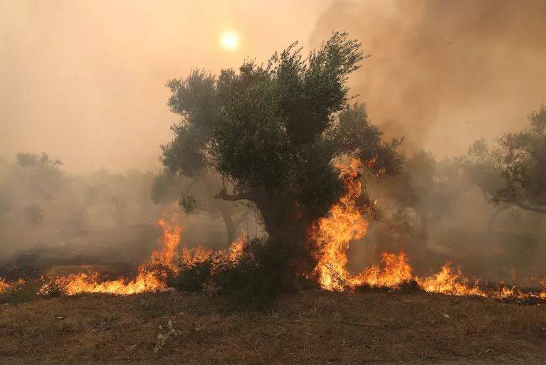یونان کے جنگلات میں لگی آگ چوتھے روز بھی بے قابو، 18 افراد جاں بحق