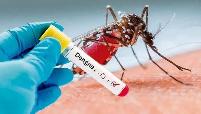 ڈینگی کی شدت میں اضافہ، کیسز 800 سے تجاوز کر گئے