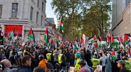   ’غزہ، غزہ‘ ،اسرائیل کے حملوں کے خلاف  فلسطین کے حق میں دنیا بھر میں لاکھوں افراد کے مظاہرے 
