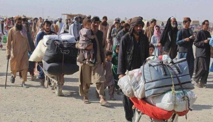 غیر قانونی مقیم باشندوں کی واپسی کا سلسلہ جاری، مزید 2 ہزار 423 افغان شہری وطن واپس روانہ 