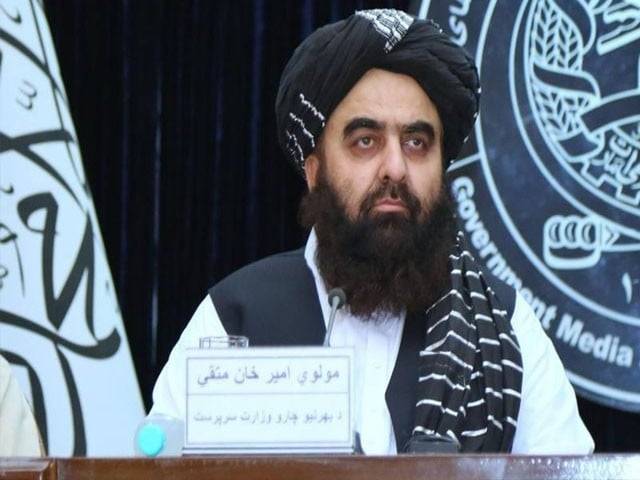 افغانستان میں ٹی ٹی پی کے دہشتگردوں کی گرفتاری کی اطلاع کی تصدیق
