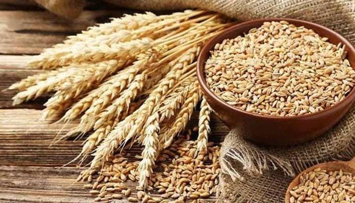 گندم کی قیمت میں کمی