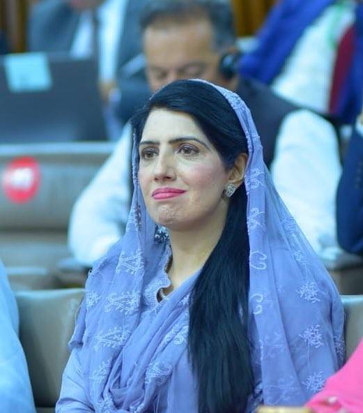 لاہور ہائیکورٹ کا عالیہ حمزہ ملک کے کاغذات نامزدگی پر  فوری دستخط کرانے کا حکم 
