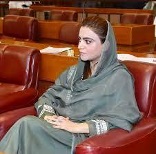 عائشہ رجب بلوچ نے بھی پارٹی سے بغاوت کردی، آزاد حیثیت میں الیکشن لڑنے کا اعلان 