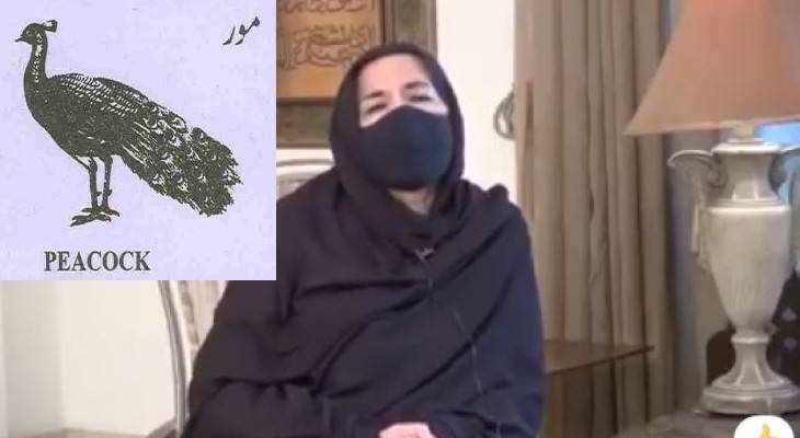  ’مور‘ کا انتخابی نشان، عدالت کا آر او کو قیصرہ الٰہی کی درخواست پر فیصلہ کرنے کا حکم