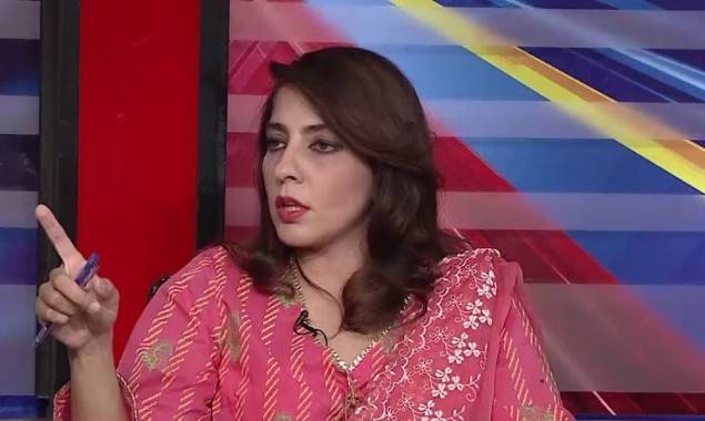 مسلم لیگ ن بوکھلا گئی، تاحال منشور پیش نہیں کر سکی اب ایسی کیا وجوہات ہیں جو جلسے منسوخ کردیے؟: پلوشہ خان