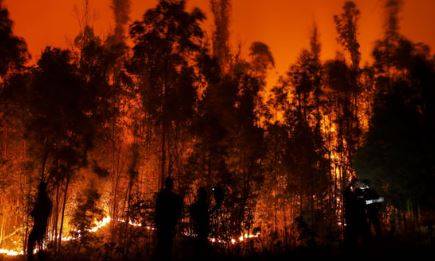 چلی کے جنگلات میں آتشزدگی، ہلاکتیں 110 سے زائد ہوگئیں