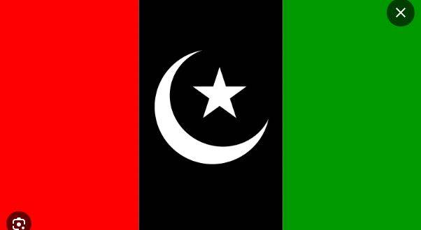 پیپلز پارٹی نے سندھ اسمبلی کی 16 نشستیں جیت لیں