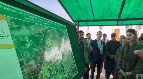 وزیر اعلیٰ مریم نواز نے برگد کا پودا لگا کر شجرکاری مہم کا افتتاح کردیا