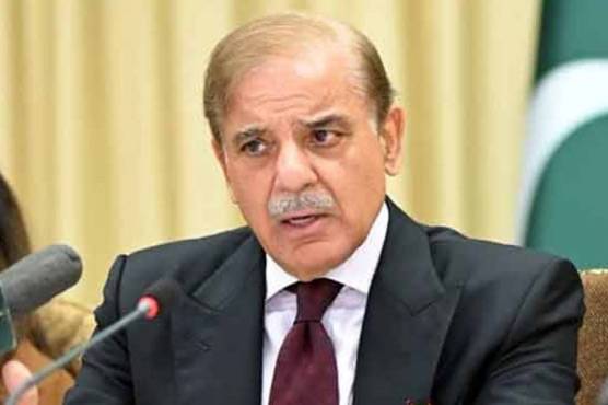  پاکستان کا غزہ جنگ بندی قرارداد کا خیر مقدم، جلدعملدرآمد کا مطالبہ 