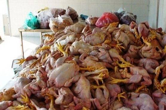 دکانداروں اور ہوٹلوں کو مضر صحت گوشت سپلائی کرنے والا پکڑا گیا، 3 ٹن مردہ مرغیاں برآمد