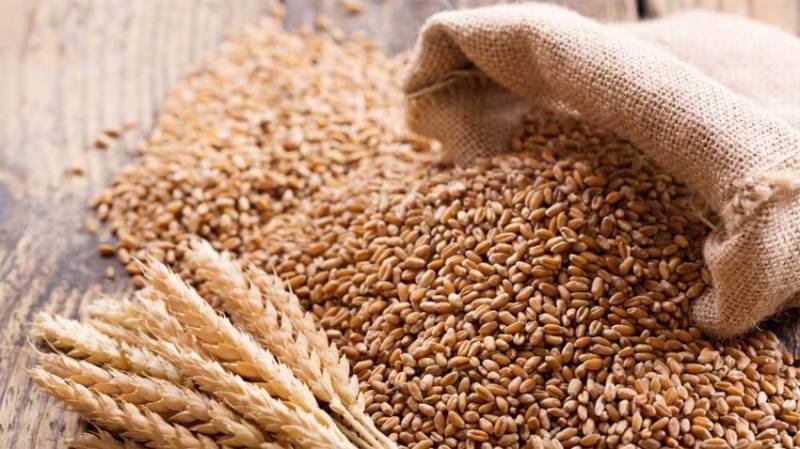  خیبرپختونخوا حکومت کا کاشتکاروں سے گندم کی خریداری شروع کرنے کا اعلان