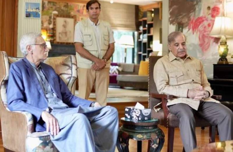 آئی پی پی کا پنجاب کابینہ میں شامل ہونےکا فیصلہ ،پنجاب میں دو وزارتیں مانگ لیں