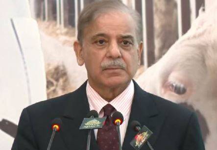 پاکستانی طلباکوزرعی اسکالرشپس فراہم کرنےپرچین کےمشکورہیں،وزیراعظم شہباز شریف