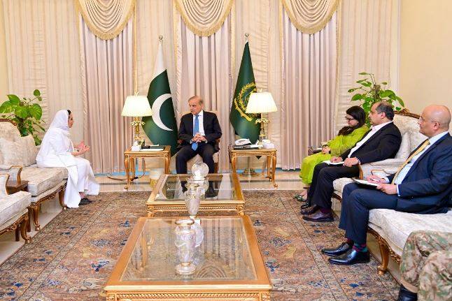 وزیراعظم سے انفارمیشن ٹیکنالوجی شعبے کے سرمایہ کاروں کی ملاقات 