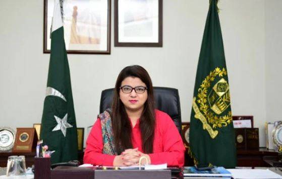 آئی ٹی ایکسپورٹس 3.14 ارب ڈالر تک پہنچ گئیں، سال کے اختتام تک 3.5 ارب ڈالر ہونے کا امکان: وفاقی وزیر آئی ٹی