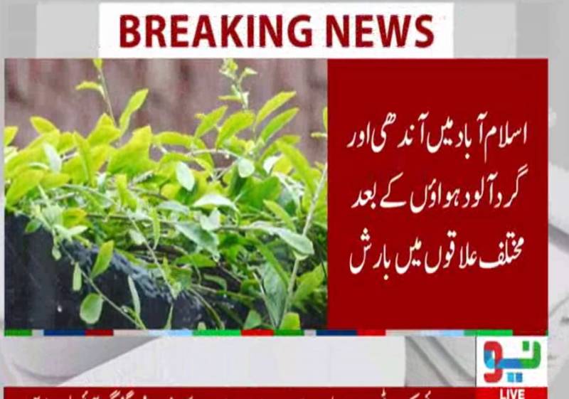 طوفانی بارشوں نے تباہی مچا دی، درخت اکھڑ گئے، چھتیں گر گئیں، فصلیں متاثر