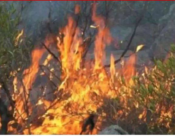 مالاکنڈ کے باٹا پہاڑوں میں لگی جنگلاتی آگ تیسرے روز بھی بے قابو، ریسکیو کارروائیاں جاری
