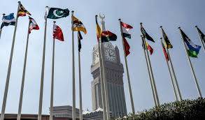 اسلامی تعاون تنظیم کی ایران کے خلاف اسرائیلی جارحیت کی شدید مذمت