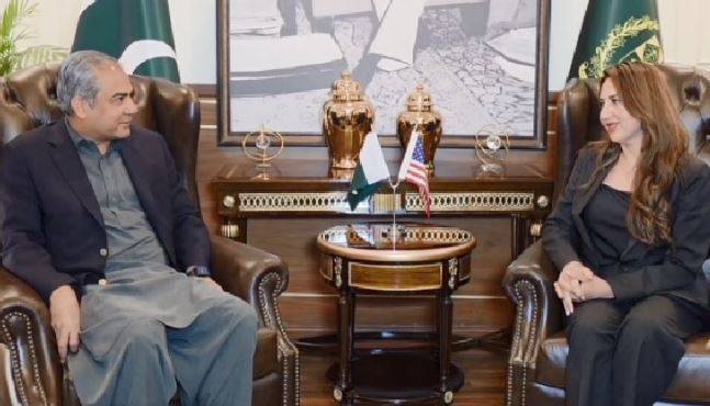 وفاقی وزیرداخلہ محسن نقوی سے امریکہ کی قائم مقام سفیر نیٹلی بیکر کی اہم ملاقات