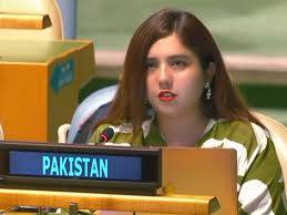 پاکستان نے اقوام متحدہ میں بھارت کا اصل چہرہ اور ناپاک عزائم بے نقاب کر دیے