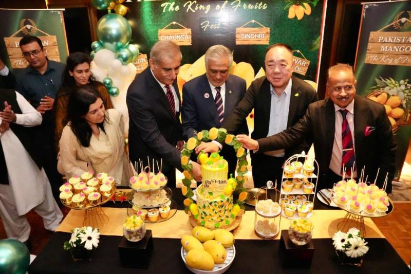 نائب وزیراعظم و وزیر خارجہ اسحاق ڈار نے کوالالمپور میں پاکستان آم فیسٹیول کا افتتاح کر دیا