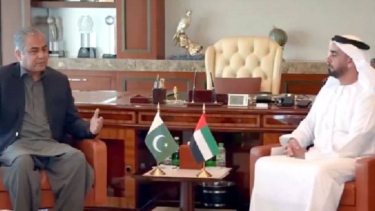 وزیر داخلہ محسن نقوی کی نائب وزیراعظم یو اے ای سے اہم ملاقات ، پاکستانیوں کے ویزا مسائل حل ہونے کا امکان