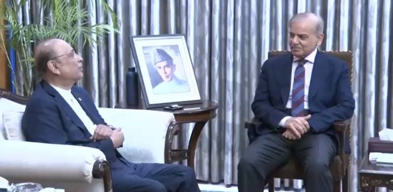 صدر مملکت آصف زرداری سے وزیراعظم شہباز شریف کی ملاقات، قومی امور پر تبادلہ خیال