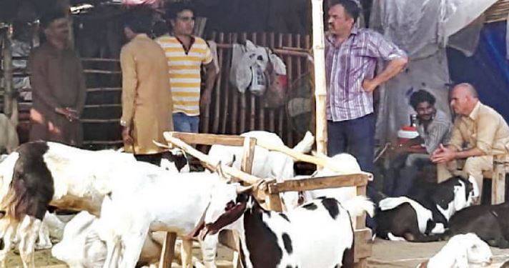 جانور انسانوں کے برابر! ساتویں زرعی شماری کی حیران کن تفصیلات جاری