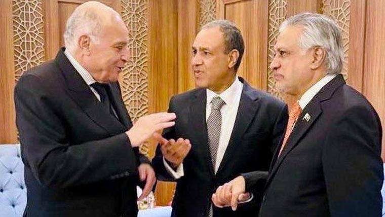 اسحاق ڈار کی مصر اور الجزائر کے وزرائے خارجہ سے ملاقات ، مسئلہ فلسطین پر یکجہتی کا اظہار 